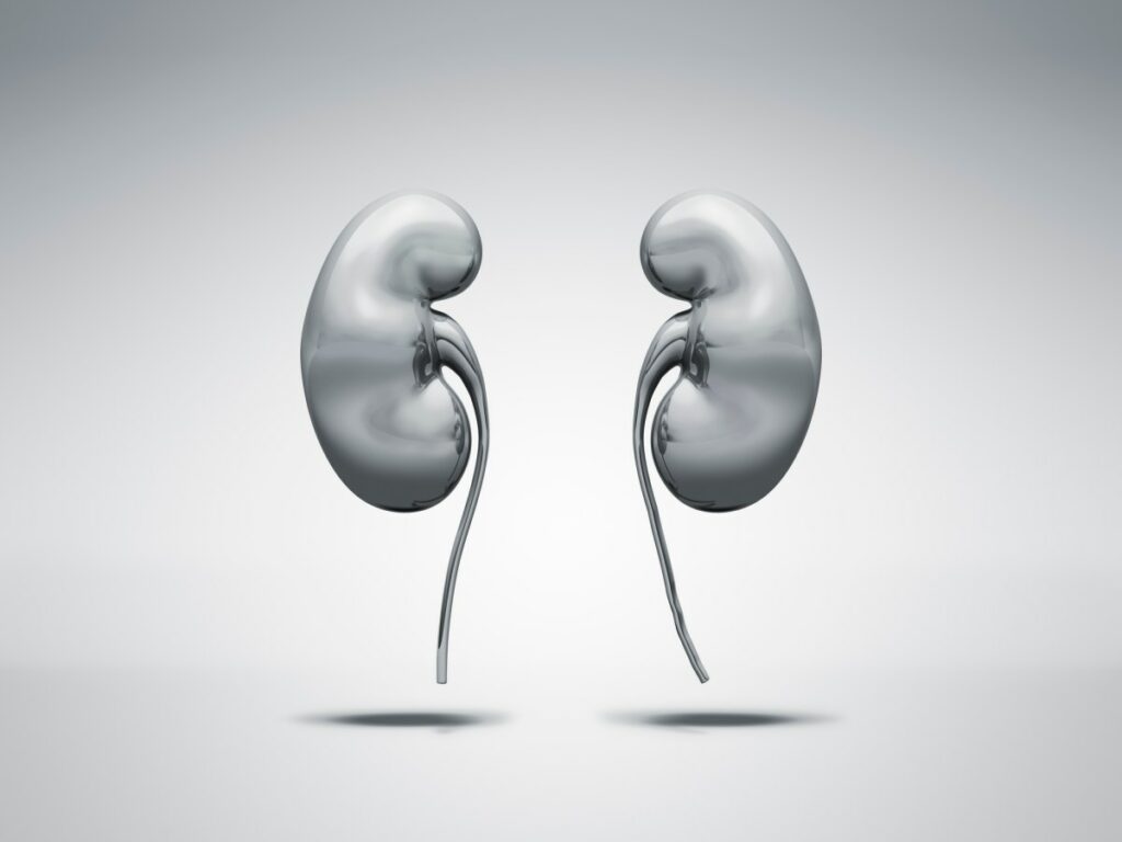 metal kidneys