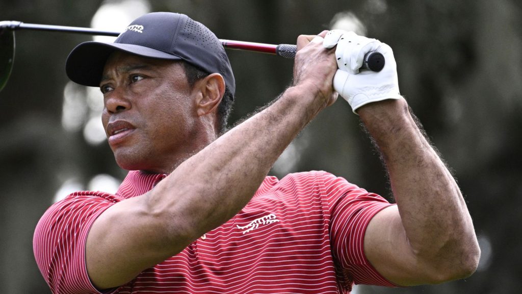 Players: Is Tiger Woods determined to lose the PGA Tour Flag event on TPC Sawgrass and the retrieval of delay? | Golf