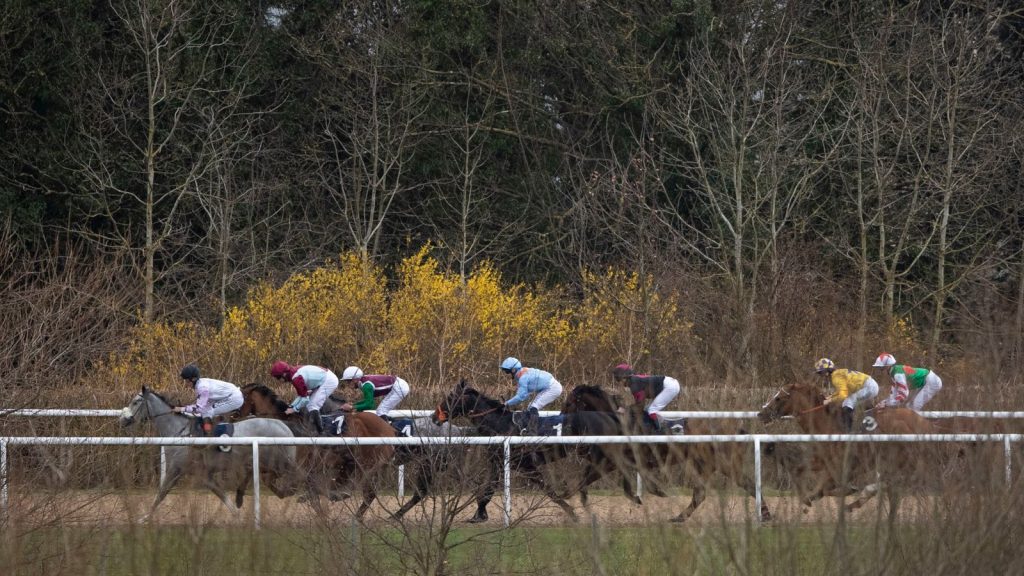 Wolverhampton hosts the Lady Wulfruna Stakes