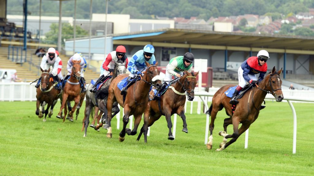 Racing from Newton Abbot