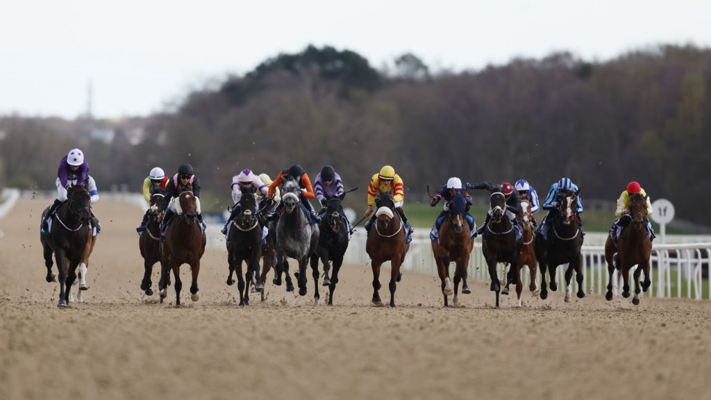 Newcastle hosts a busy all-weather card