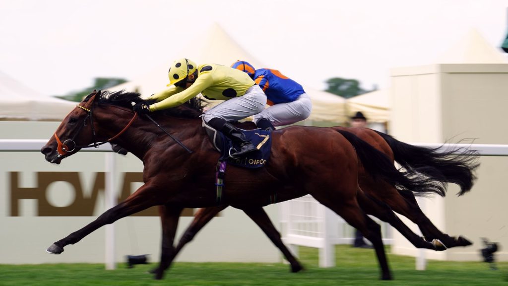Rosallion gets the nod from Kate Tracey and Sam Boswell